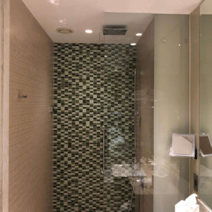 Hilton Dead Sea Resort & Spa, , Shower