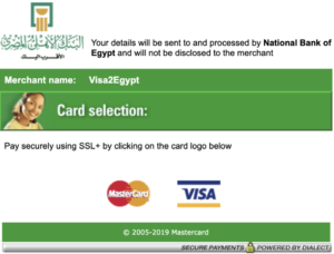 e-visa, egypt, payment