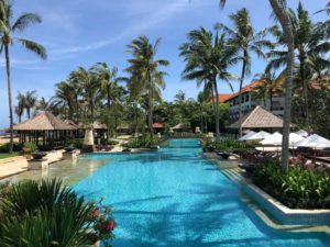 Conrad Bali, Review